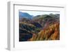 Romania, Transylvania, Carpathian Mountains, Magura, Fall Colors.-Emily Wilson-Framed Photographic Print