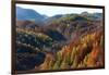 Romania, Transylvania, Carpathian Mountains, Magura, Fall Colors.-Emily Wilson-Framed Photographic Print