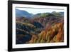 Romania, Transylvania, Carpathian Mountains, Magura, Fall Colors.-Emily Wilson-Framed Photographic Print