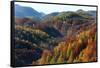 Romania, Transylvania, Carpathian Mountains, Magura, Fall Colors.-Emily Wilson-Framed Stretched Canvas