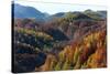 Romania, Transylvania, Carpathian Mountains, Magura, Fall Colors.-Emily Wilson-Stretched Canvas