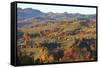 Romania, Transylvania, Carpathian Mountains, Magura, Piatra Craiului National Park. Fall colors.-Emily Wilson-Framed Stretched Canvas