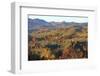 Romania, Transylvania, Carpathian Mountains, Magura, Piatra Craiului National Park. Fall colors.-Emily Wilson-Framed Photographic Print