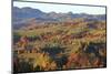 Romania, Transylvania, Carpathian Mountains, Magura, Piatra Craiului National Park. Fall colors.-Emily Wilson-Mounted Photographic Print