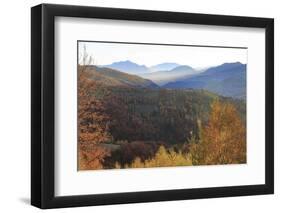 Romania, Transylvania, Carpathian Mountains, Magura, Piatra Craiului National Park. Fall colors.-Emily Wilson-Framed Photographic Print