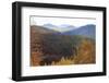 Romania, Transylvania, Carpathian Mountains, Magura, Piatra Craiului National Park. Fall colors.-Emily Wilson-Framed Photographic Print