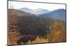 Romania, Transylvania, Carpathian Mountains, Magura, Piatra Craiului National Park. Fall colors.-Emily Wilson-Mounted Photographic Print