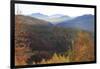 Romania, Transylvania, Carpathian Mountains, Magura, Piatra Craiului National Park. Fall colors.-Emily Wilson-Framed Photographic Print