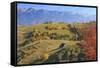 Romania, Transylvania, Carpathian Mountains, Magura, Piatra Craiului National Park.-Emily Wilson-Framed Stretched Canvas