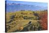 Romania, Transylvania, Carpathian Mountains, Magura, Piatra Craiului National Park.-Emily Wilson-Stretched Canvas