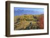 Romania, Transylvania, Carpathian Mountains, Magura, Piatra Craiului National Park.-Emily Wilson-Framed Photographic Print