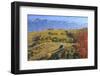 Romania, Transylvania, Carpathian Mountains, Magura, Piatra Craiului National Park.-Emily Wilson-Framed Photographic Print