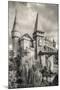 Romania, Transylvania, Hunedoara, Corvin Castle, Late Afternoon-Walter Bibikow-Mounted Photographic Print