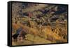 Romania, Transylvania, Magura, Piatra Craiului National Park, Farm in autumn.-Emily Wilson-Framed Stretched Canvas