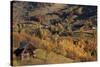 Romania, Transylvania, Magura, Piatra Craiului National Park, Farm in autumn.-Emily Wilson-Stretched Canvas