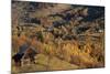 Romania, Transylvania, Magura, Piatra Craiului National Park, Farm in autumn.-Emily Wilson-Mounted Photographic Print