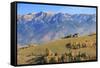 Romania, Transylvania, Magura, Piatra Craiului National Park. Traditional farmhouse.-Emily Wilson-Framed Stretched Canvas