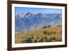 Romania, Transylvania, Magura, Piatra Craiului National Park. Traditional farmhouse.-Emily Wilson-Framed Photographic Print