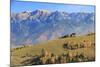 Romania, Transylvania, Magura, Piatra Craiului National Park. Traditional farmhouse.-Emily Wilson-Mounted Photographic Print