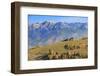 Romania, Transylvania, Magura, Piatra Craiului National Park. Traditional farmhouse.-Emily Wilson-Framed Photographic Print