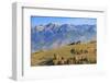 Romania, Transylvania, Magura, Piatra Craiului National Park. Traditional farmhouse.-Emily Wilson-Framed Photographic Print