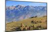 Romania, Transylvania, Magura, Piatra Craiului National Park. Traditional farmhouse.-Emily Wilson-Mounted Photographic Print