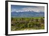 Romania, Transylvania, Sercaia, Country Road with Fagaras Mountains-Walter Bibikow-Framed Photographic Print