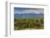 Romania, Transylvania, Sercaia, Country Road with Fagaras Mountains-Walter Bibikow-Framed Photographic Print