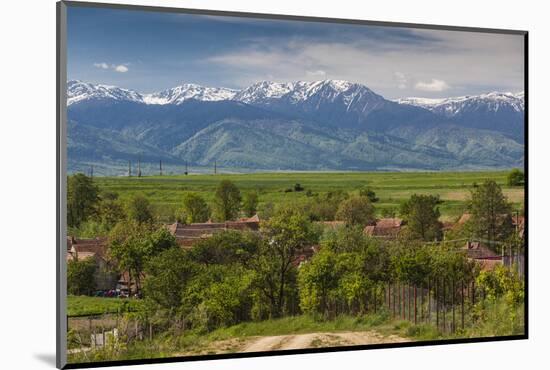 Romania, Transylvania, Sercaia, Country Road with Fagaras Mountains-Walter Bibikow-Mounted Photographic Print