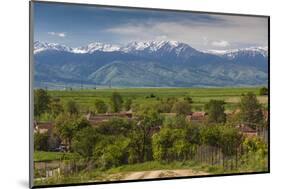 Romania, Transylvania, Sercaia, Country Road with Fagaras Mountains-Walter Bibikow-Mounted Photographic Print