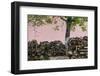 Romania, Transylvania, Sibiel, Firewood-Walter Bibikow-Framed Photographic Print