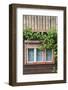 Romania, Transylvania, Sibiel, Window Detail-Walter Bibikow-Framed Photographic Print