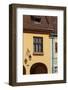 Romania, Transylvania, Sighisoara, Old Town Building Details-Walter Bibikow-Framed Photographic Print