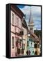 Romania, Transylvania, Sighisoara, Piata Cetatii, Old Town Buildings-Walter Bibikow-Framed Stretched Canvas