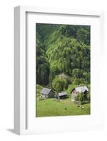 Romania, Transylvania, Tihuta Pass, Mountain Buildings of the Pass-Walter Bibikow-Framed Photographic Print