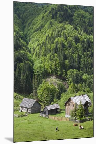 Romania, Transylvania, Tihuta Pass, Mountain Buildings of the Pass-Walter Bibikow-Mounted Premium Photographic Print