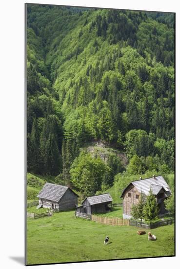 Romania, Transylvania, Tihuta Pass, Mountain Buildings of the Pass-Walter Bibikow-Mounted Photographic Print