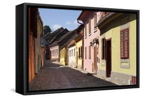 Romania, Transylvania-Katie Garrod-Framed Stretched Canvas