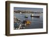 Romania, Tulcea, Freighter on the Danube River at Dawn-Walter Bibikow-Framed Photographic Print