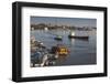 Romania, Tulcea, Freighter on the Danube River at Dawn-Walter Bibikow-Framed Photographic Print