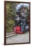 Romania, Viseu de Sus, Wood-burning steam locomotive.-Emily Wilson-Framed Premium Photographic Print