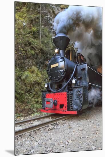 Romania, Viseu de Sus, Wood-burning steam locomotive.-Emily Wilson-Mounted Premium Photographic Print