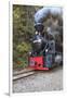 Romania, Viseu de Sus, Wood-burning steam locomotive.-Emily Wilson-Framed Photographic Print