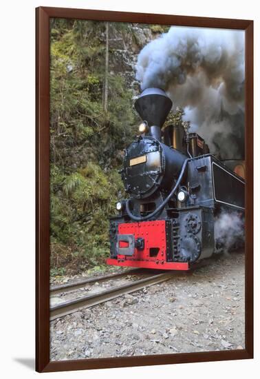 Romania, Viseu de Sus, Wood-burning steam locomotive.-Emily Wilson-Framed Photographic Print