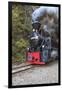 Romania, Viseu de Sus, Wood-burning steam locomotive.-Emily Wilson-Framed Photographic Print