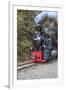 Romania, Viseu de Sus, Wood-burning steam locomotive.-Emily Wilson-Framed Premium Photographic Print