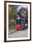 Romania, Viseu de Sus, Wood-burning steam locomotive.-Emily Wilson-Framed Premium Photographic Print