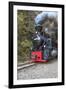 Romania, Viseu de Sus, Wood-burning steam locomotive.-Emily Wilson-Framed Premium Photographic Print