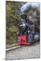 Romania, Viseu de Sus, Wood-burning steam locomotive.-Emily Wilson-Mounted Premium Photographic Print