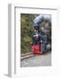 Romania, Viseu de Sus, Wood-burning steam locomotive.-Emily Wilson-Framed Photographic Print